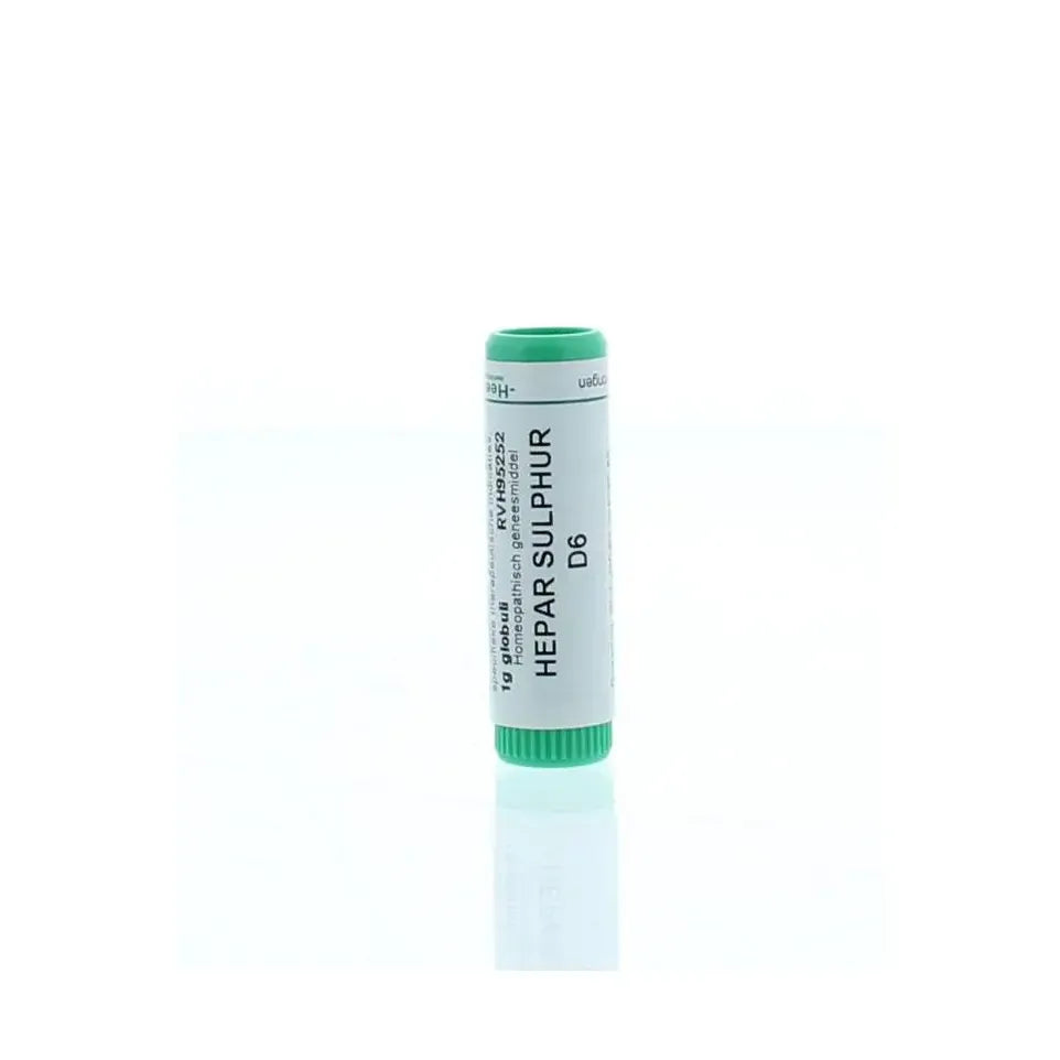 Homeoden Heel Hepar sulphur D6 1 gram globuli