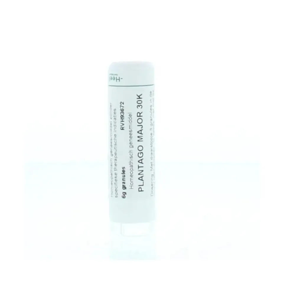 Homeoden Heel Plantago major 30K 6 gram granules
