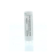 Homeoden Heel Rhus toxicodendron D12 6 gram granules