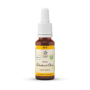 Lemon Pharma Bach bloesemremedies chestnut bud 20 ml