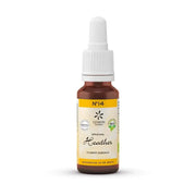 Lemon Pharma Bach bloesemremedies heather 20 ml