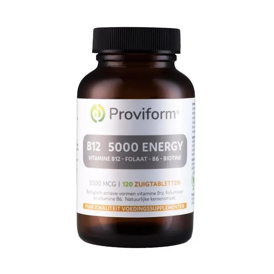 Proviform Vitamine B12 5000 mcg energy 120 smelttabletten