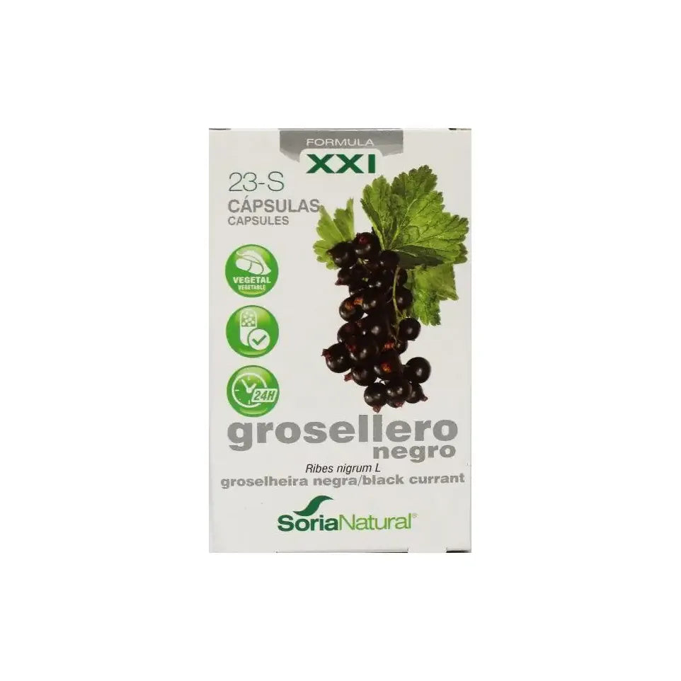 Soria Ribes nigrum XXI 30 capsules