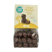 Terrasana Ginger pleasure bio 150 gram