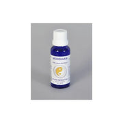 Vita Meridiaan dikke darm meridiaan 30 ml