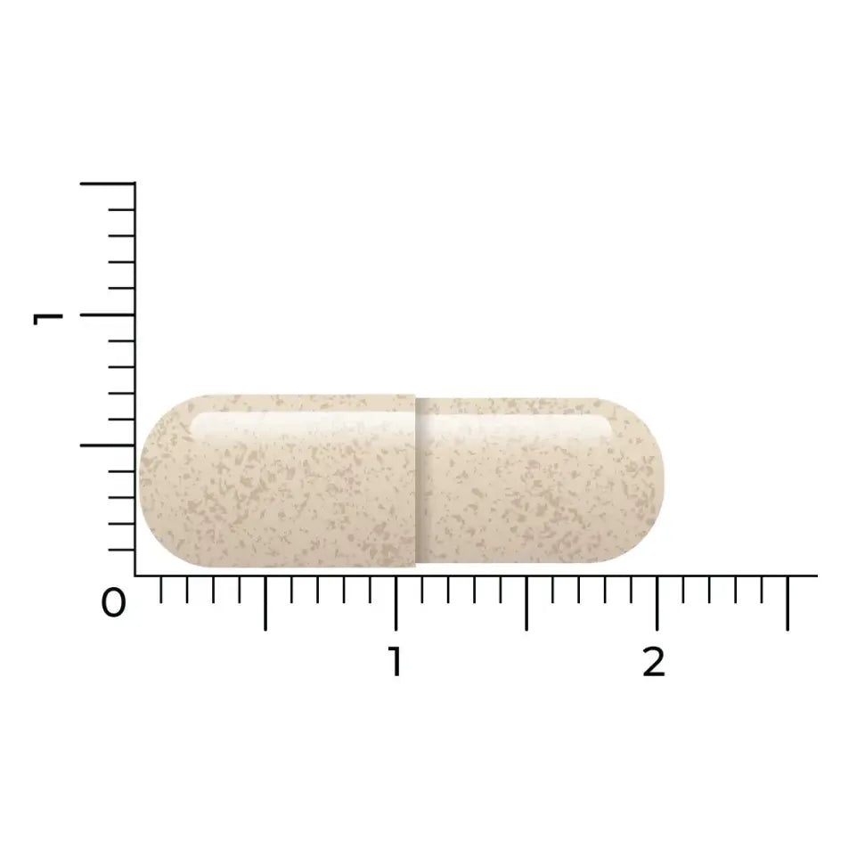 Vitakruid Ashwagandha KSM-66 & bioperine 60 vcaps (afbeelding 5)