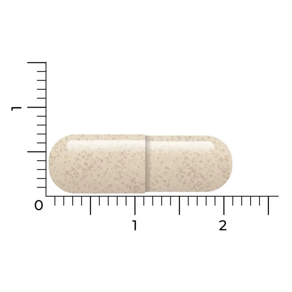 Vitakruid DPP-IV Ultimate 90 vcaps (afbeelding 5)
