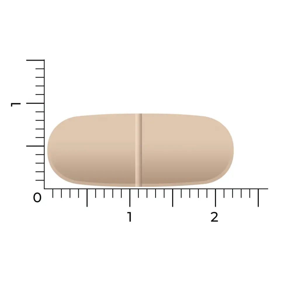 Vitakruid Multi Dag & Nacht Regulier 2 x 30 60 tabletten (afbeelding 6)