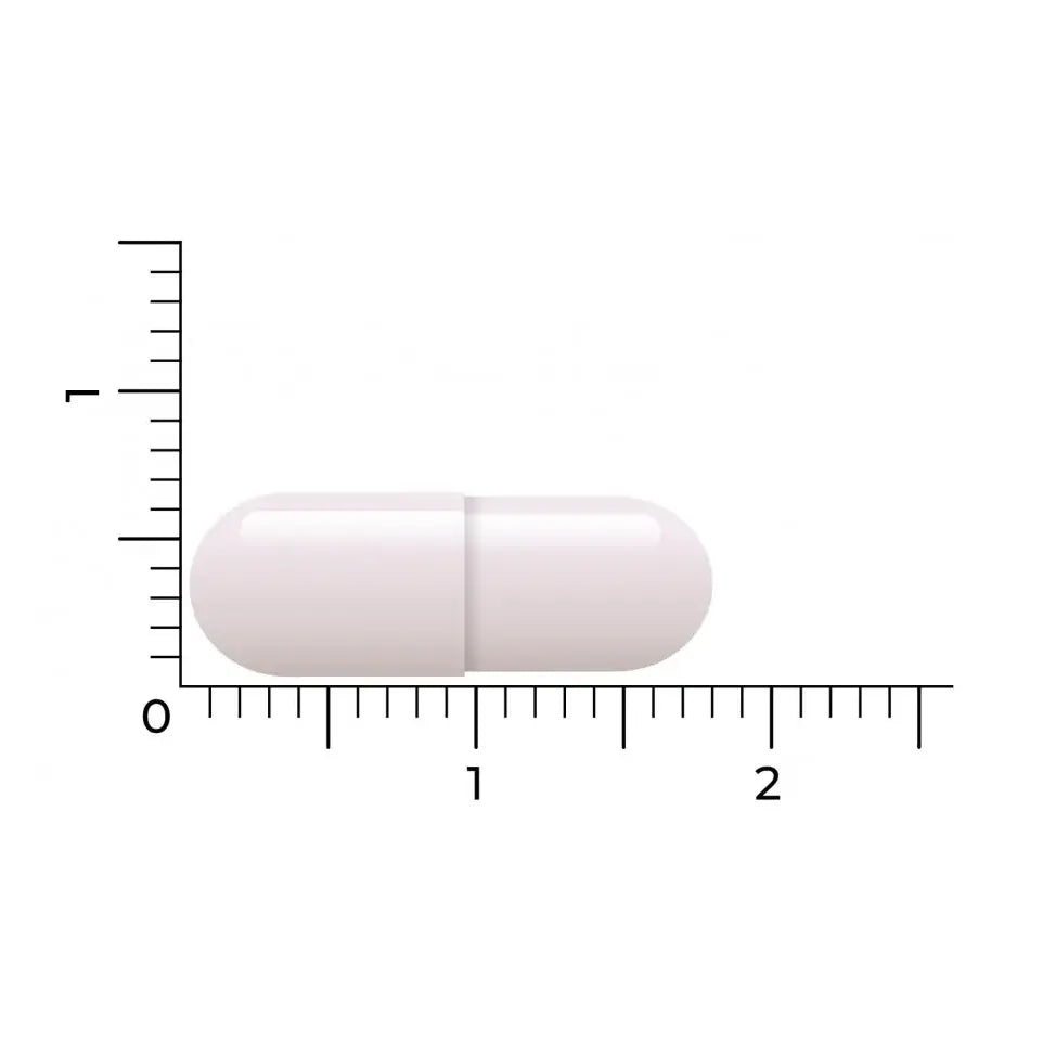 Vitakruid Saffraan & L-Theanine 30 vcaps (afbeelding 5)
