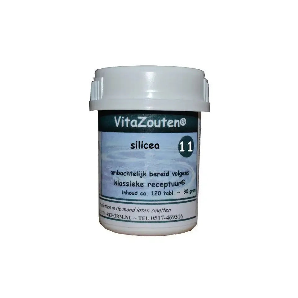 Vitazouten Silicea VitaZout Nr. 11 120 tabletten