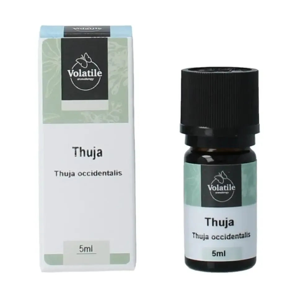 Volatile Thuja 5 ml