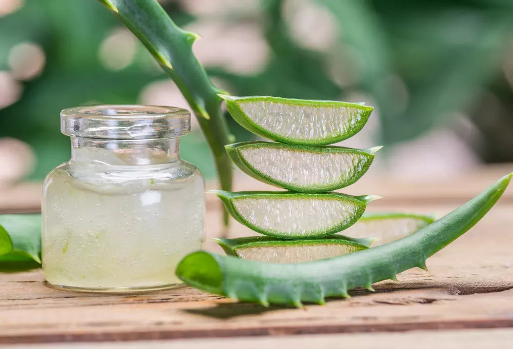 aloe vera verzorging