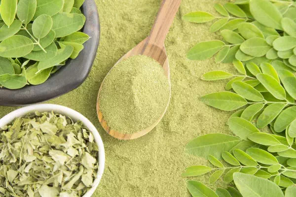 Moringa poeder