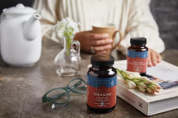 Terranova supplements