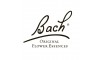 Bach