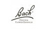 Bach Logo
