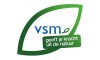 VSM