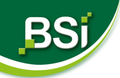 BSI