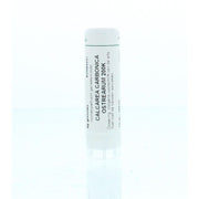 Homeoden Heel Calcarea carbonica 0 200K 6 gram