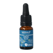 La Drome Bloesemessence Elm bio 10 ml
