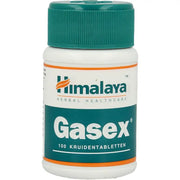 Holisan Gasex 100 tabletten