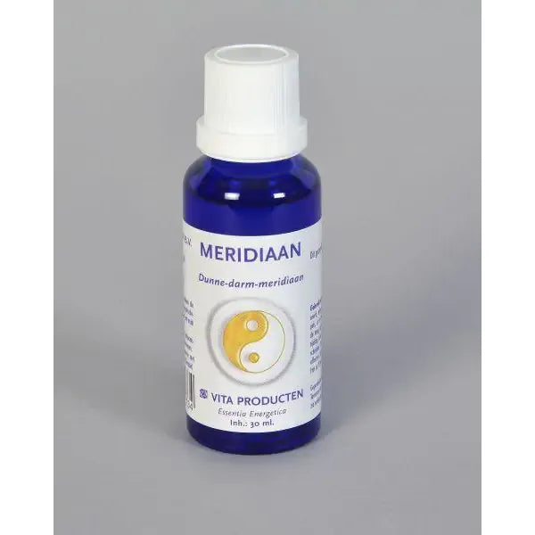 Vita Meridiaan dunne darm meridiaan 30 ml