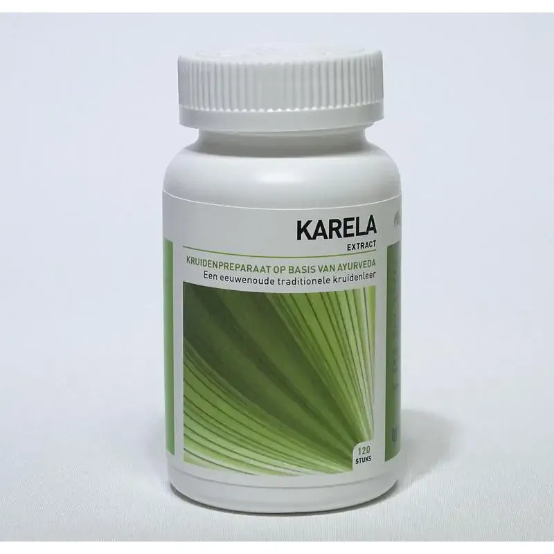 Ayurveda Health Karela momordica 120 tabletten