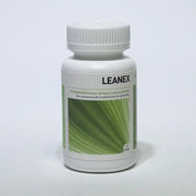 Ayurveda Health Leanex 90 vcaps