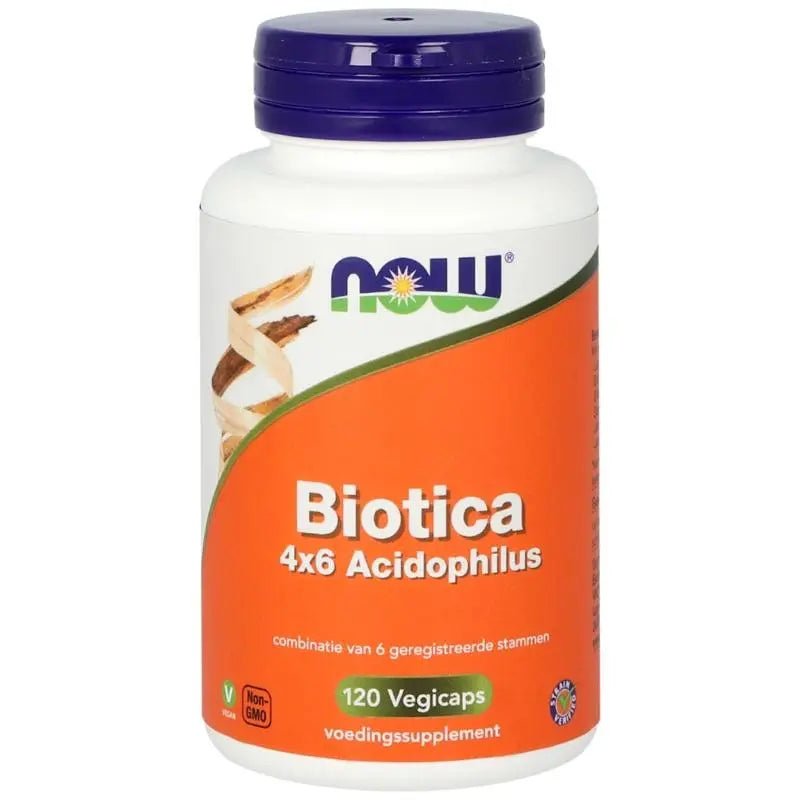NOW Biotica 4 x 6 acidophilus 120 vcaps