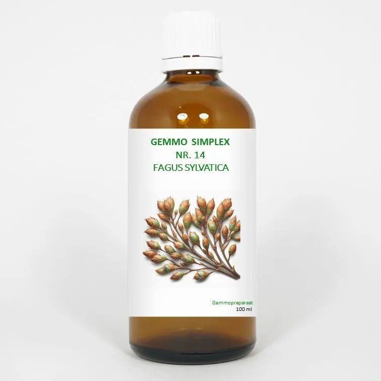 Balance Pharma Gemmo simplex 14 fagus sylvatica 100 ml