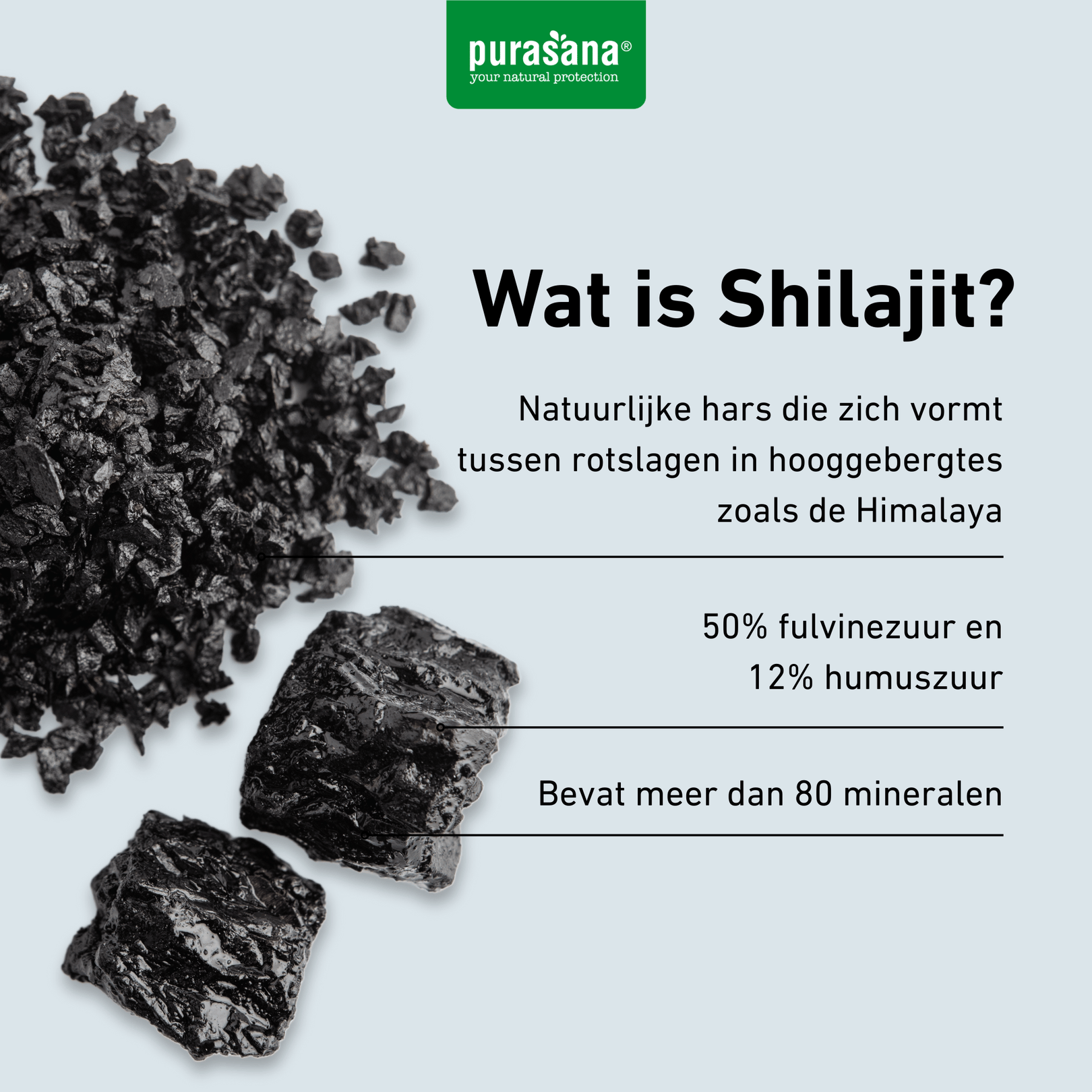 Purasana Shilajit