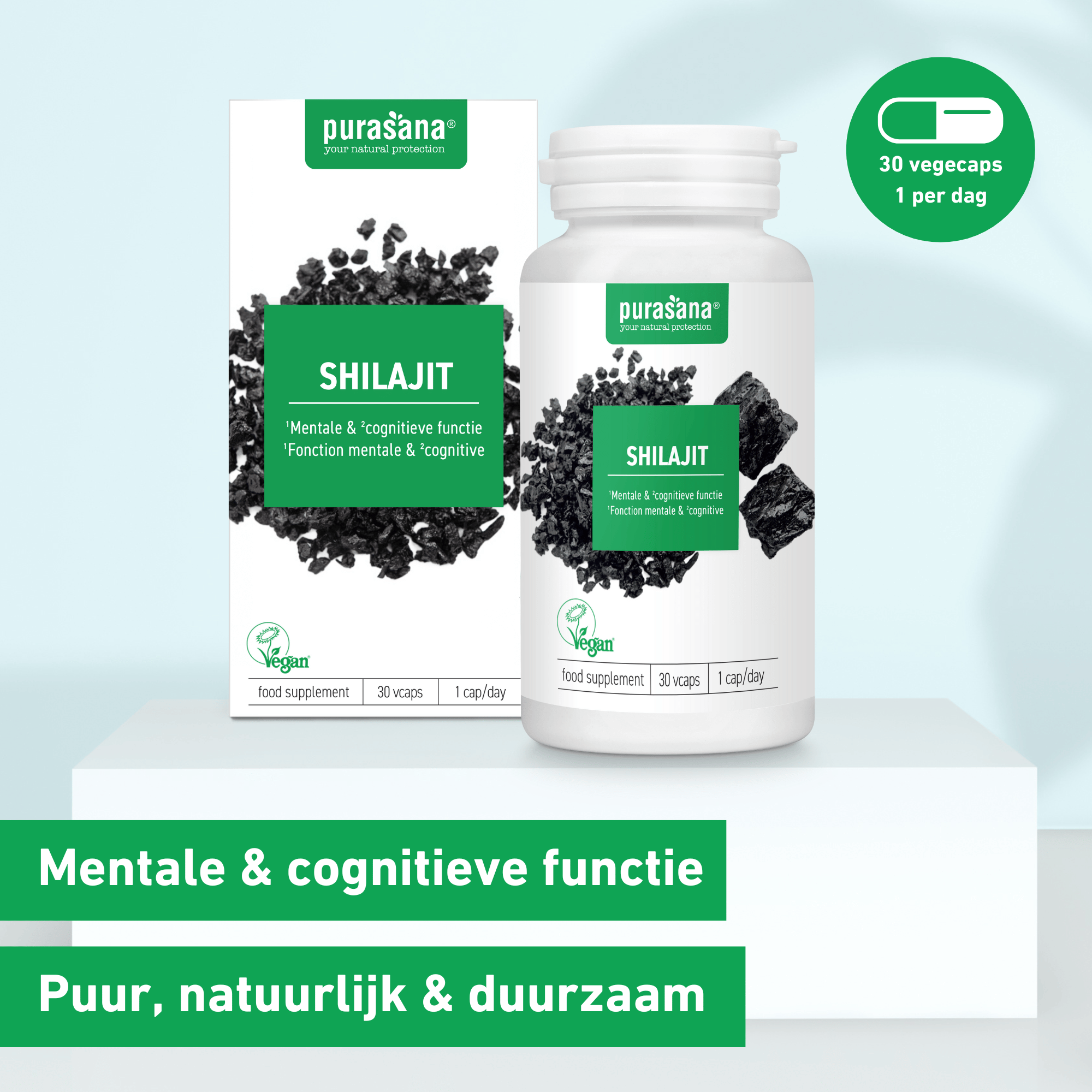Purasana Shilajit