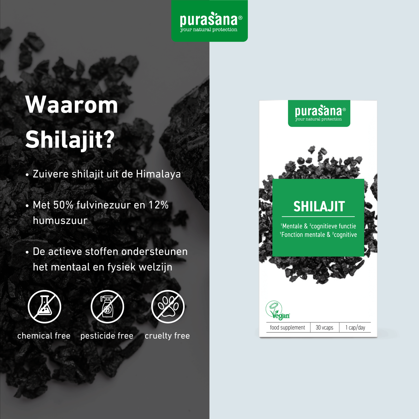 Purasana Shilajit
