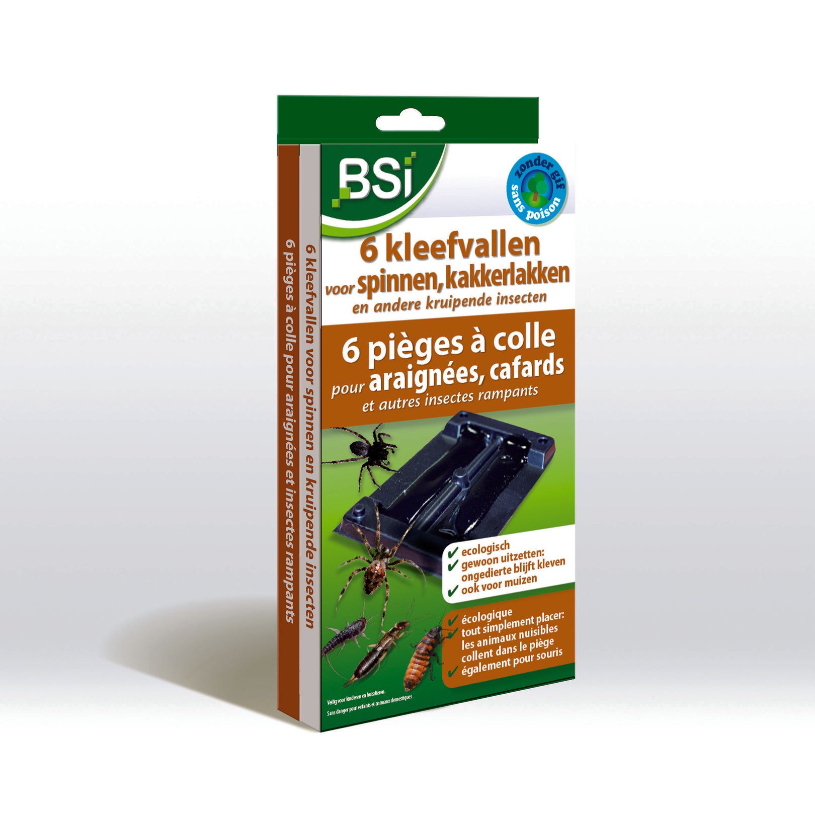 BSI Kleefvallen voor spinnen 6 stuks