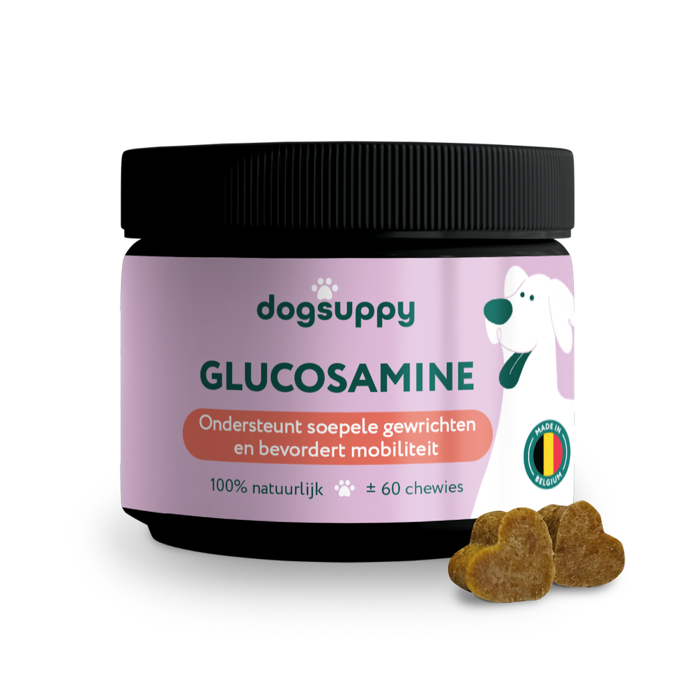 DogSuppy Glucosamine 60 st