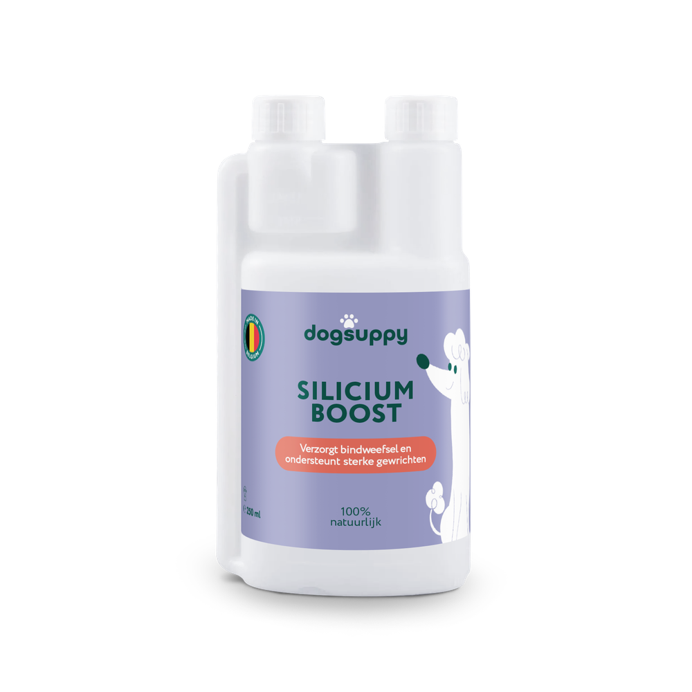DogSuppy Silicium Boost 250 ml