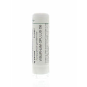 Homeoden Heel Viburnum opulus D6 6 gram granules
