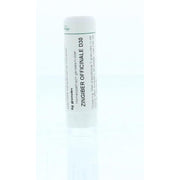 Homeoden Heel Zingiber officinalis D30 6 gram granules
