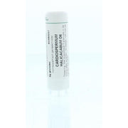 Homeoden Heel Cardiospermum halicacabum D6 6 gram granules