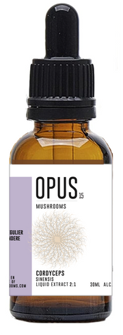 Opus Mushrooms Cordyceps sinensis 2:1 bio 30 ml