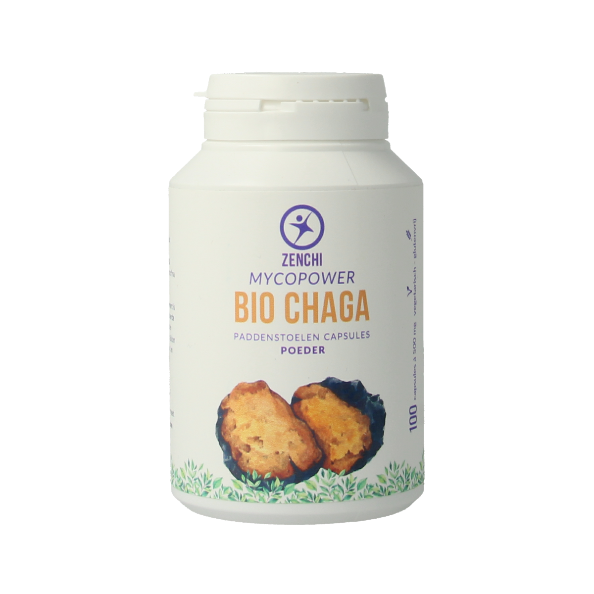 Mycopower Chaga 100 capsules
