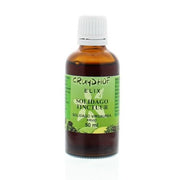 Elix Solidago tinctuur 50 ml