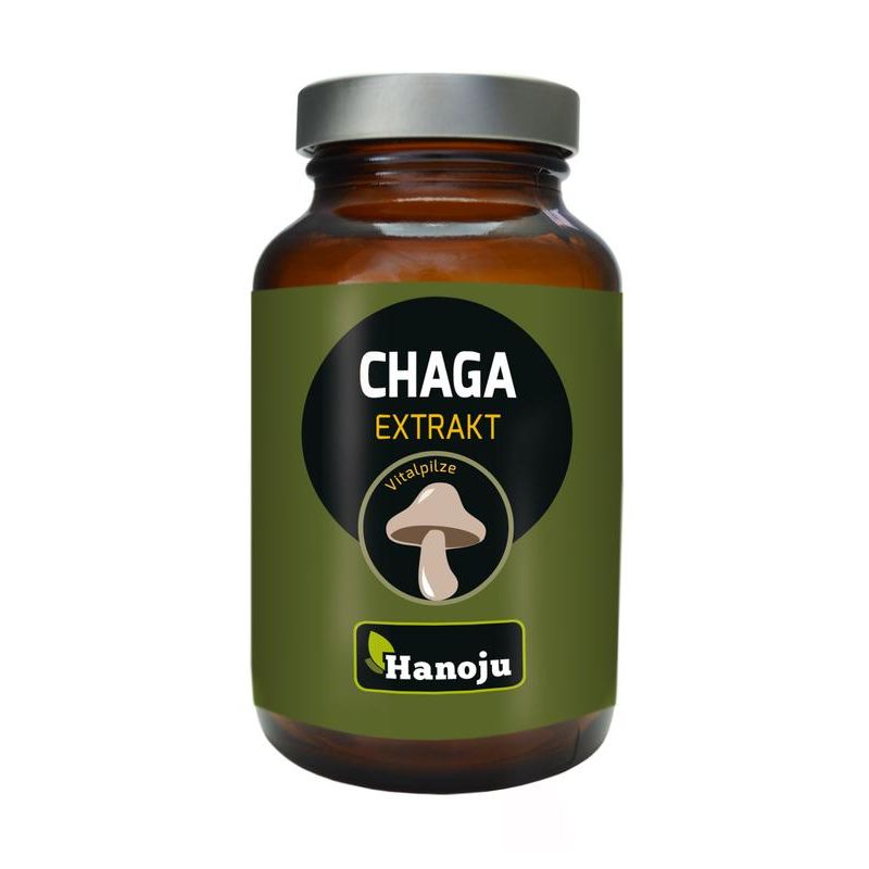 Hanoju Chaga paddenstoelen extract 90 tabletten