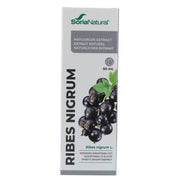 Soria Natural Soria Ribes Nigrum XXI Extract 50 ml
