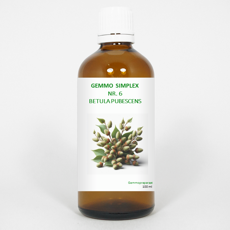 Balance Pharma Gemmo simplex 6 betula pubescens 100 ml