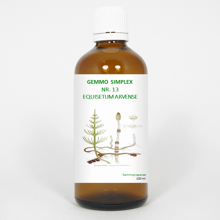Balance Pharma Gemmo simplex 13 equisetum arvense 100 ml