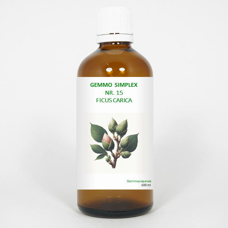 Balance Pharma Gemmo simplex 15 ficus carica 100 ml
