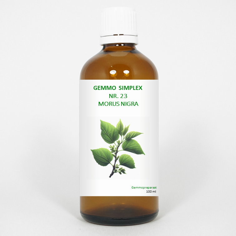 Balance Pharma Gemmo simplex 23 morus nigra 100 ml