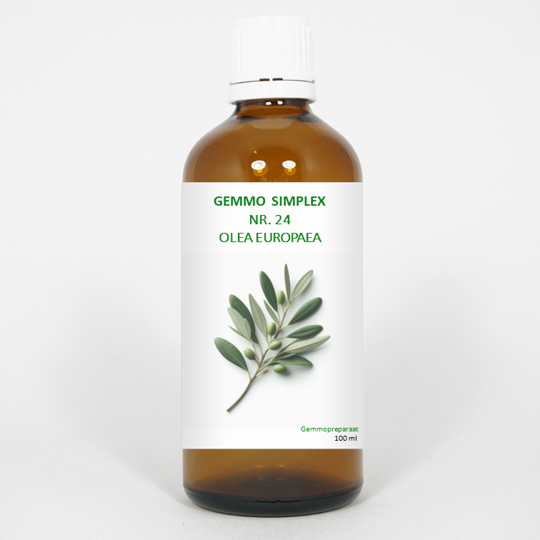 Balance Pharma Gemmo simplex 24 olea europaea 100 ml