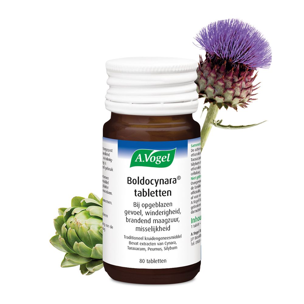 A Vogel Boldocynara 80 tabletten